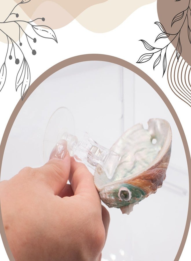SnowTing 3 PCS Natural Shell Betta Fish Resting Spot, Betta Hammock Small Shell Bed with Suction Cups, Natural Habitat Breeding Spawning Ground for Betta, Shrimp, Aquarium Accessories Decorations - Image 5