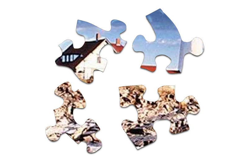 Springbok's 1000 Piece Jigsaw Puzzle Portland Head Lighthouse - Made in USA - Image 3