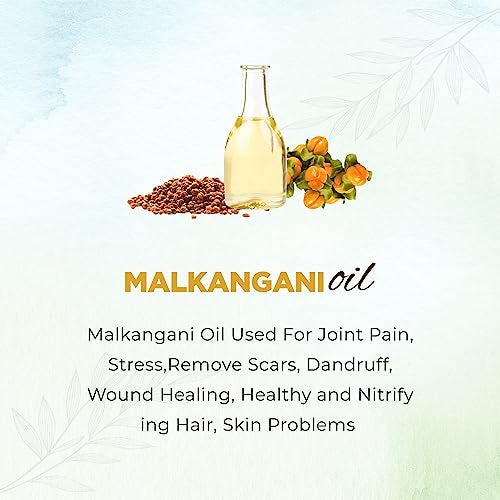 Vedcare Pure Malkangani (Jyotishmati/Celastrus Paniculatus) Hair Oil, 250ml - Image 5