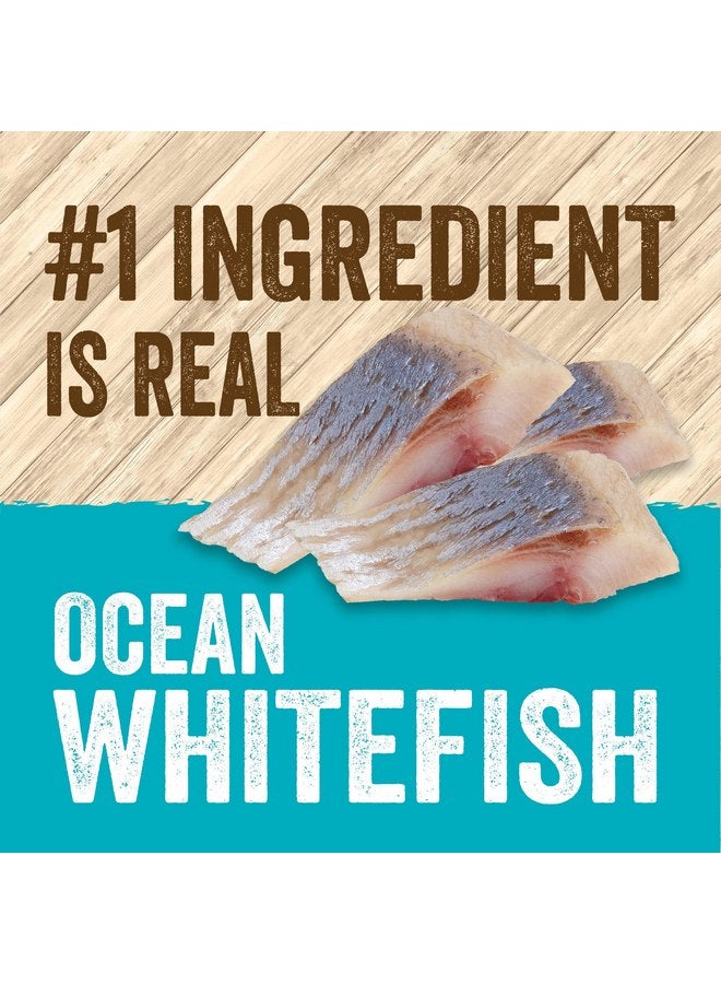 Evolve Grain Free Ocean Whitefish and Egg Cat Food - Image 1