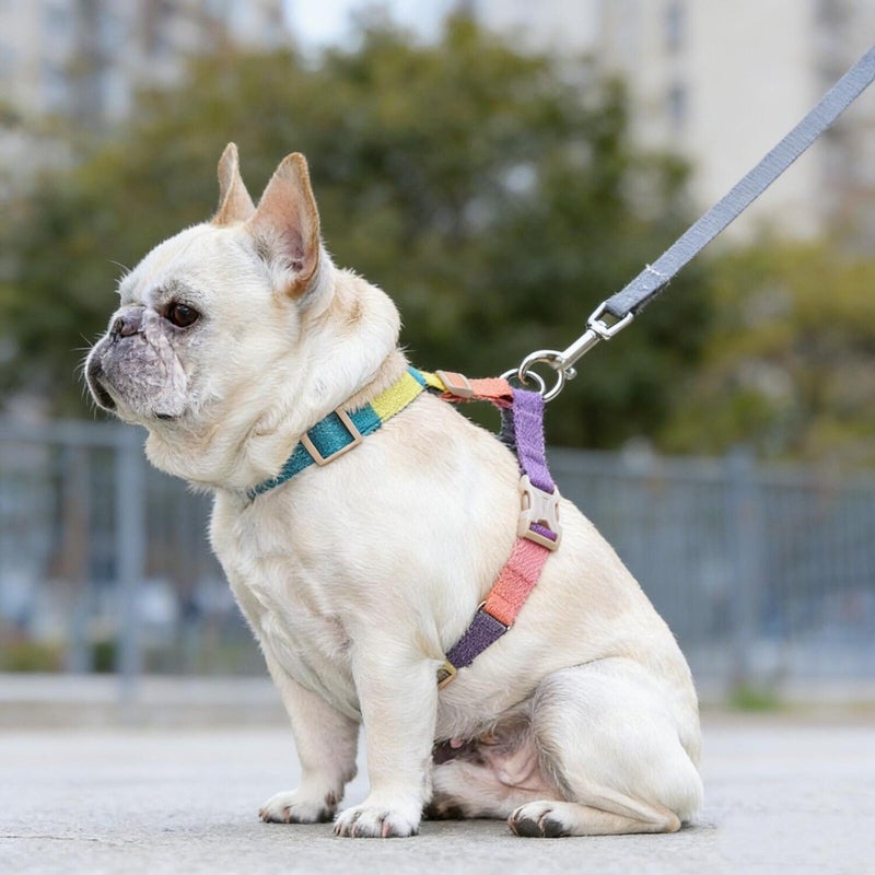 Pink Blue Dog Harness and Leash Set No Pull Vest for Small Medium Dogs Breathable Comfortable XL - Image 1