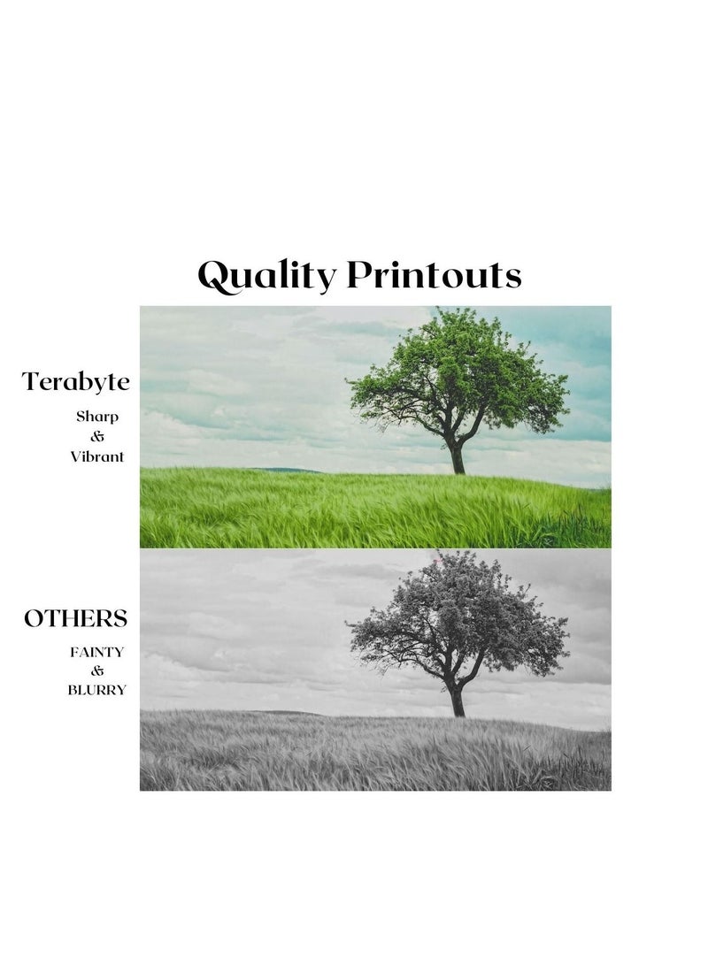 Terabyte خرطوشة حبر TN620 ماجنتا - Image 4