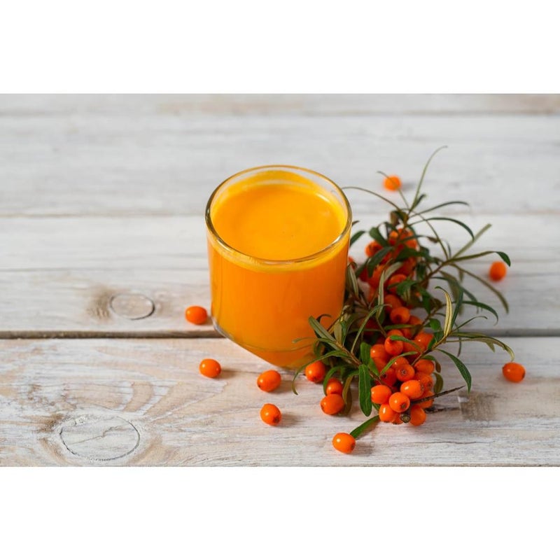 بذور نبق البحر (Hippophae rhamnoides) - 100 بذرة - أصناف تراثية - تلقيح مفتوح - Image 3