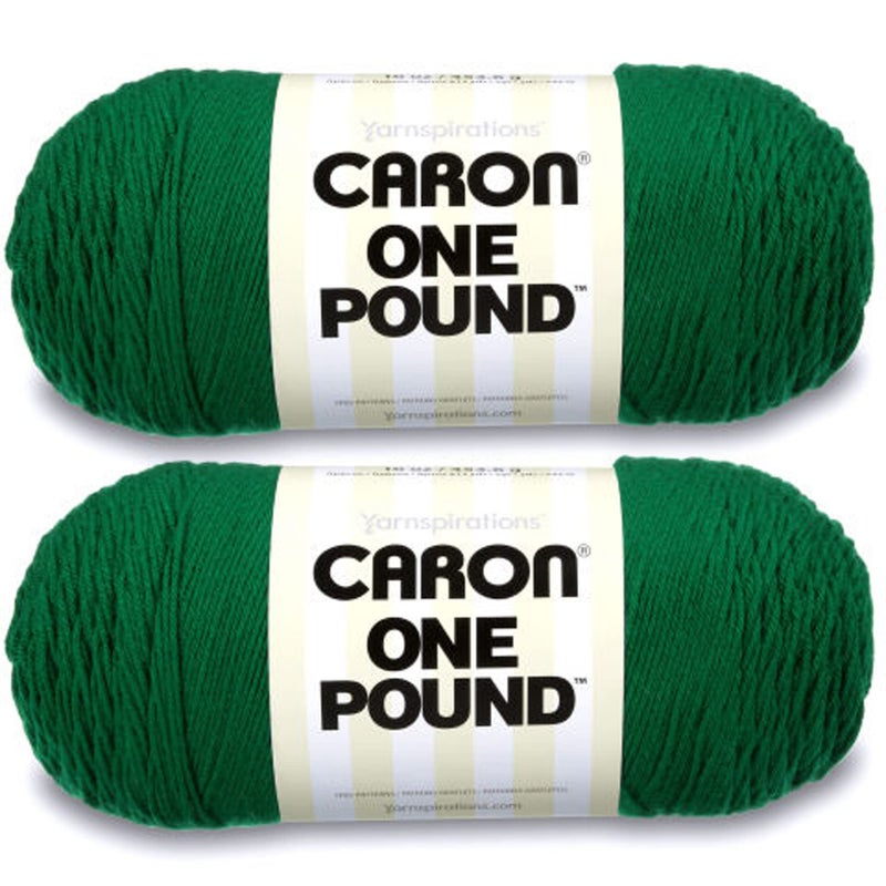 Caron One Pound Kelly Green Yarn  2 Pack of 454g16oz  Acrylic  4 Medium Worsted  812 Yards  KnittingCrochet