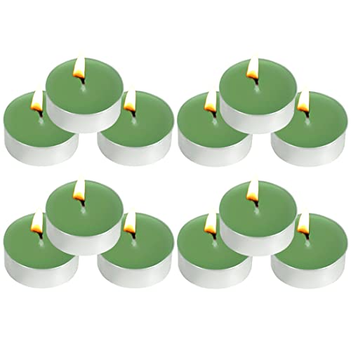 FUNHOKO Tea Lights Candles - 12 Pack Green Tealights Candle Scented Green Tea Small Candle for Home, Holiday, Wedding & Party,Dinner Table, Halloween Christmas and Holiday (Green Tea) - Image 1
