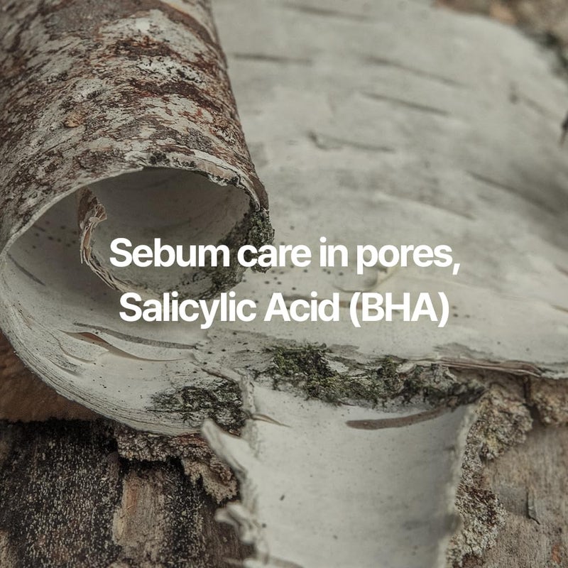 Pyunkang Yul رغوة تنظيف مهدئة من بيونكانغ يول PKY، غسول وجه/منظف بتركيبة pH منخفضة مع هازل الساحرة، AHA للتحكم في الدهون - سيكا، مستخلص شجرة الشاي - تجديد سريع للرطوبة 3.38 أونصة سائلة - Image 5