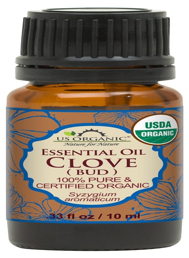 US Organic 100% Pure Clove Bud Essential Oil - USDA Certified Organic, Steam Distilled (10 ml) - Image 1