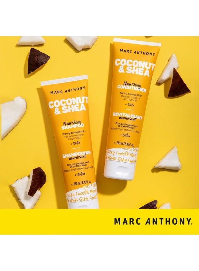 مارك أنتوني، شامبو مرطب بزيت جوز الهند وزبدة الشيا، 8.4 أونصة، 250 مل، شامبو للجنسين - Image 4