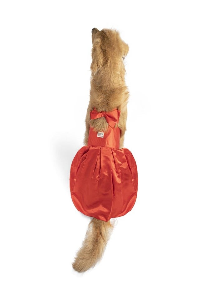 Zigly Sassy Scarlet Frock Dog Dress for Dogs | Soft Polyester Cotton Stylish Pet Outfit with Bow & Velcro Closure | Comfortable Special Occasion Dog Apparel | Red | XXL - Image 3