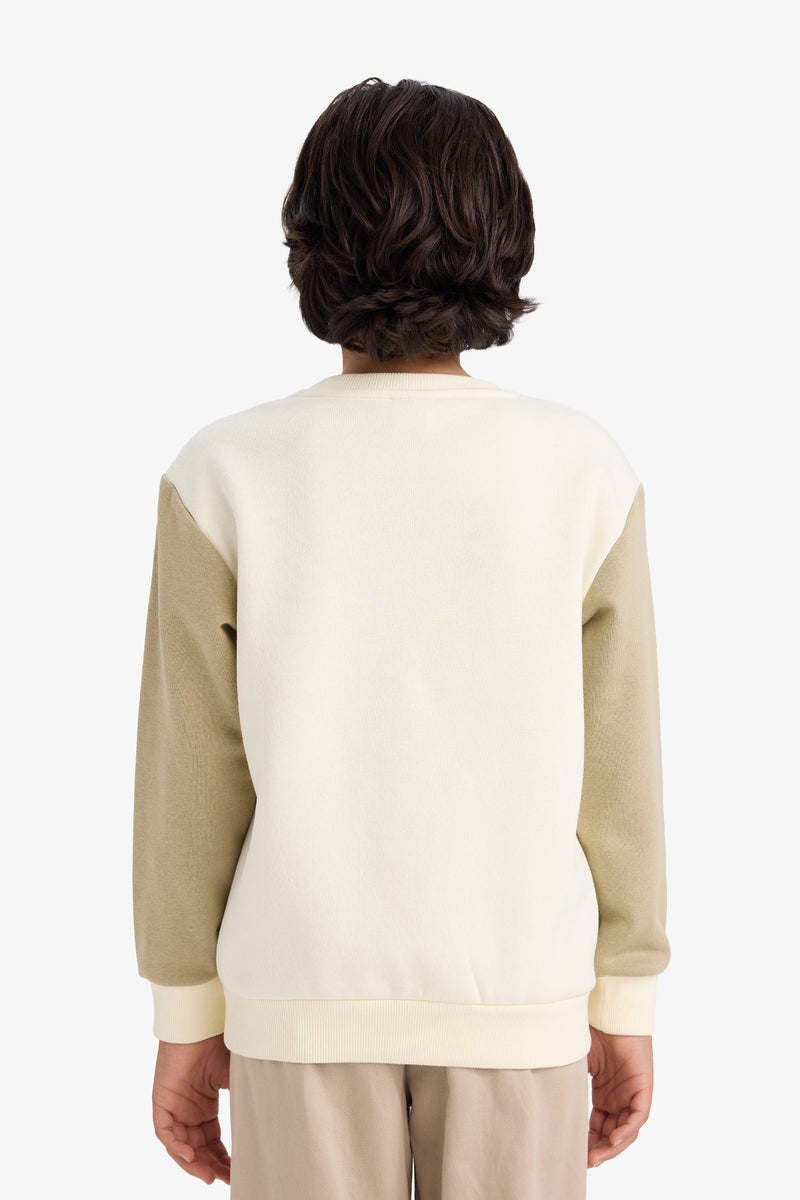 ديفاكتو سويت شيرت جديد بأكمام طويلة وقصة عادية وياقة دائرية للأولاد - Image 4