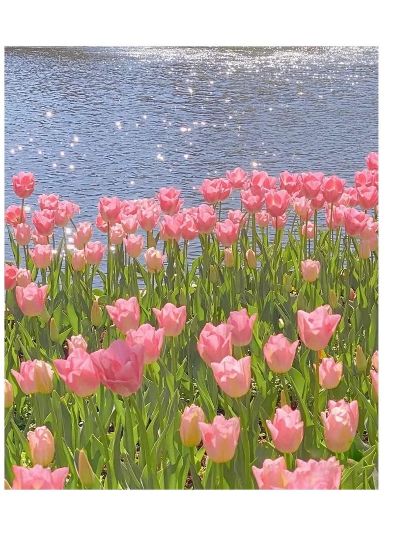 KASTWAVE Paint by Numbers for Adults Beginner and Kids Number Flowers Rolled Wrinkle Free Canvas DIY Oil Painting Kit Pink Tulips Without Frame - Image 1