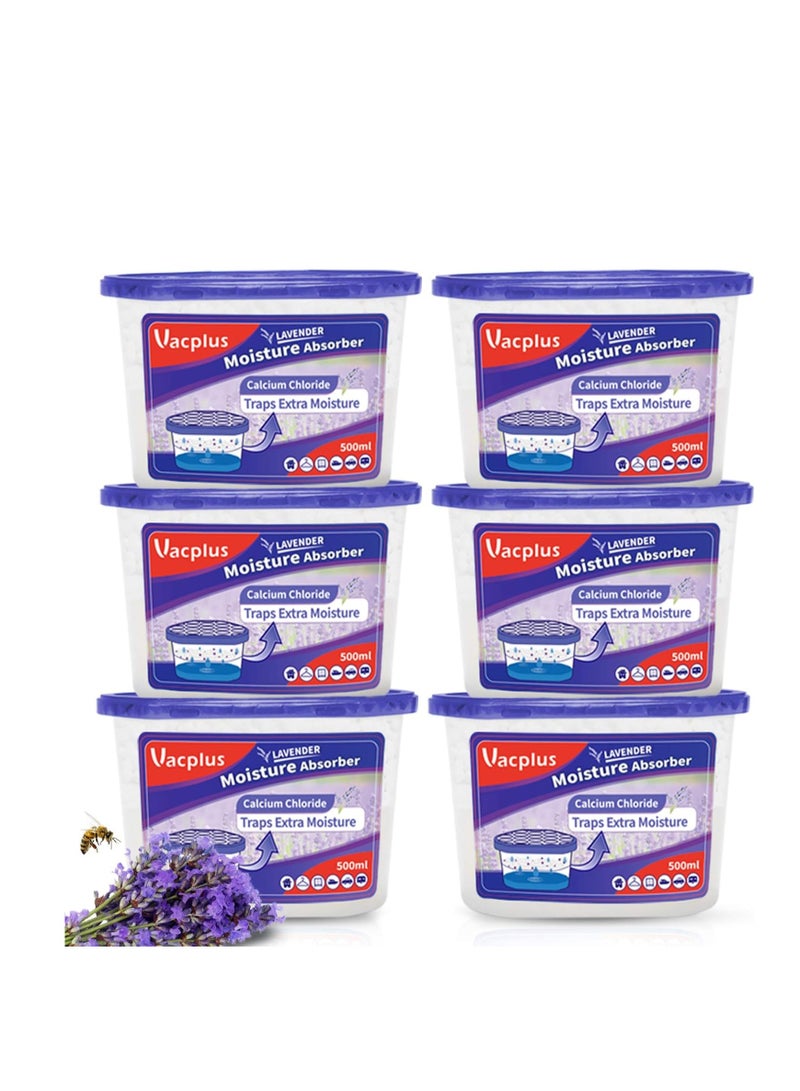 Vacplus Vacplus Moisture Absorbers (6 pack), 10.5Oz Portable Humidity Absorber Boxes for Closet Effectively Trap Extra Moisture, Odor Eliminator with Lavender Fragrance for Fresher Air (Lavender)  - Image 1