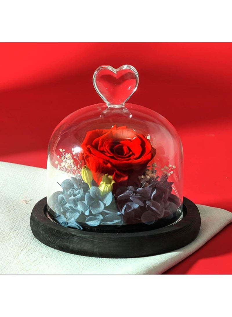 SYOSI Eternal Rose in a Glass, Dome Glass Rose with LED Light, Rose Gift for Girlfriend, Mother, Wife, Valentine's Day Mother's Day Anniversary Birthday Gift - Image 2