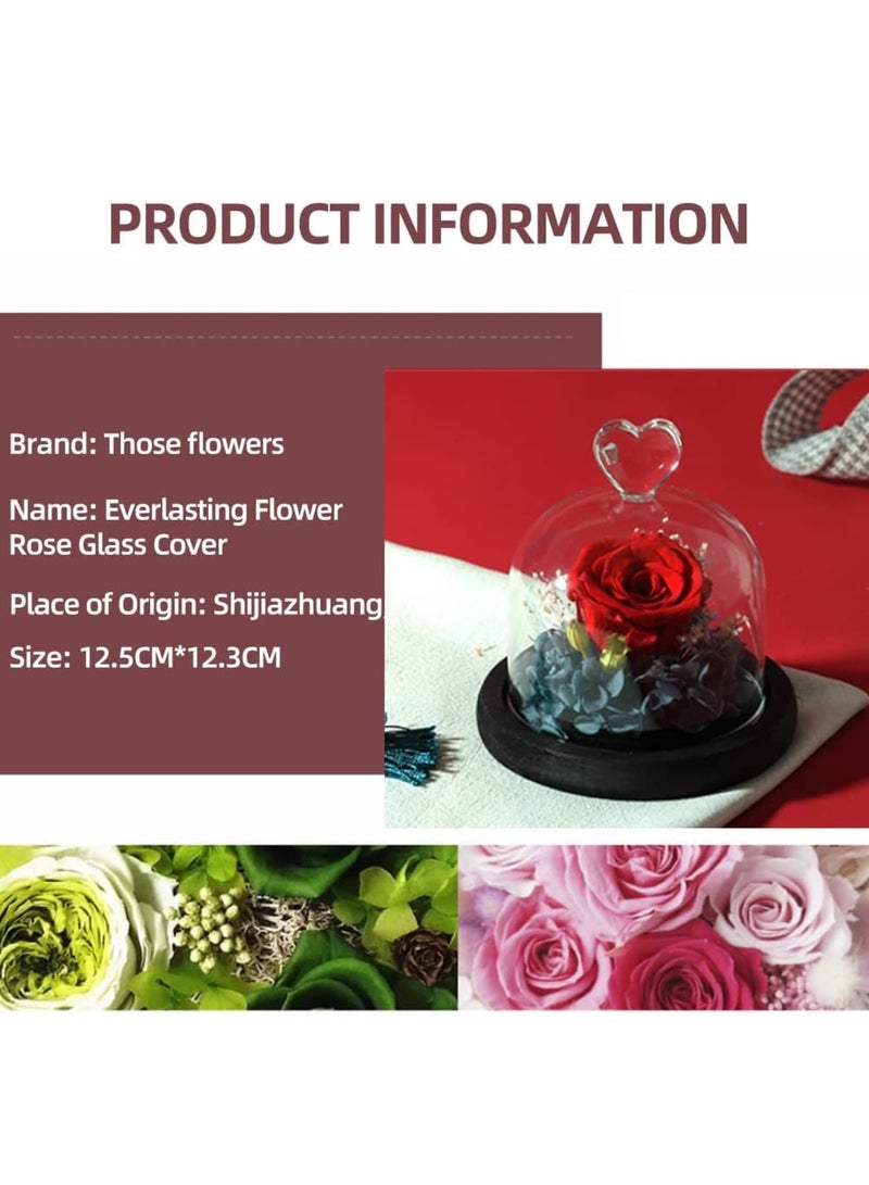 SYOSI Eternal Rose in a Glass, Dome Glass Rose with LED Light, Rose Gift for Girlfriend, Mother, Wife, Valentine's Day Mother's Day Anniversary Birthday Gift - Image 5