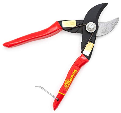 GLOBUS 1254 Steel Garden Tool Set/2 PCS (Garden Scissor and Garden Cutter) - Image 4