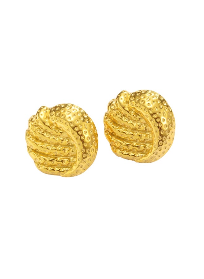 The Black Pearl Accessories Golden Stainless Steel Earring - Image 1