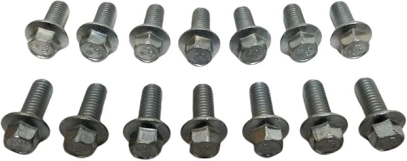 Z Whip Metric 14pc Differential Cover Bolt Kit M8-1.25x20MM Flange Bolts - Image 1