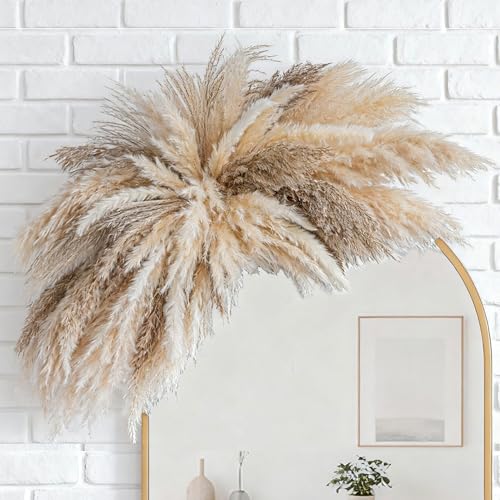 WILD AUTUMN Fluffy Boho Wall Decor DIY Pampas Grass KitsNeed to AssembleDecorative Pampas CloudMirror Decorativefor Entryway Bedroom Living Room Bathroom House Warming Gifts New Home Essential - Image 1