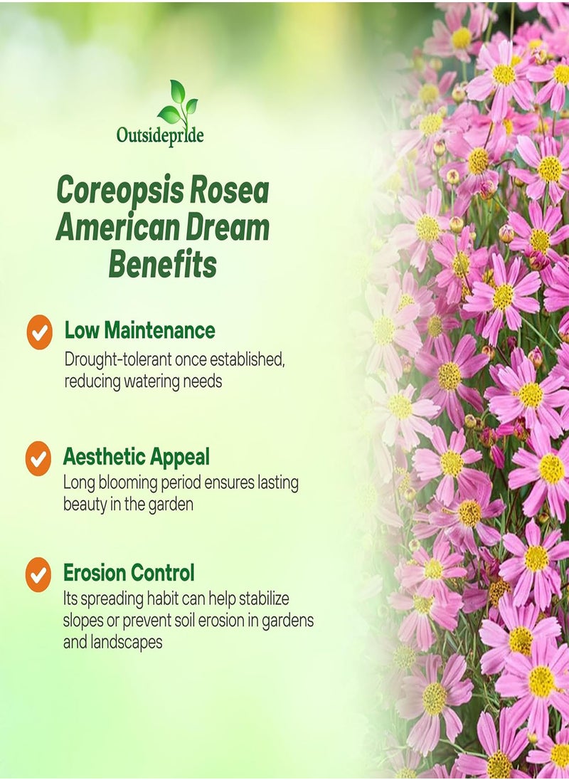 GGOOT American Dream Pink Coreopsis Seeds - 500 Pcs Perennial & Hardy Flower Seeds for Planting w/Fine Foliage, Ideal for Borders, Pollinator-Friendly Gardens, & Low-Maintenance Landscaping  - Image 3