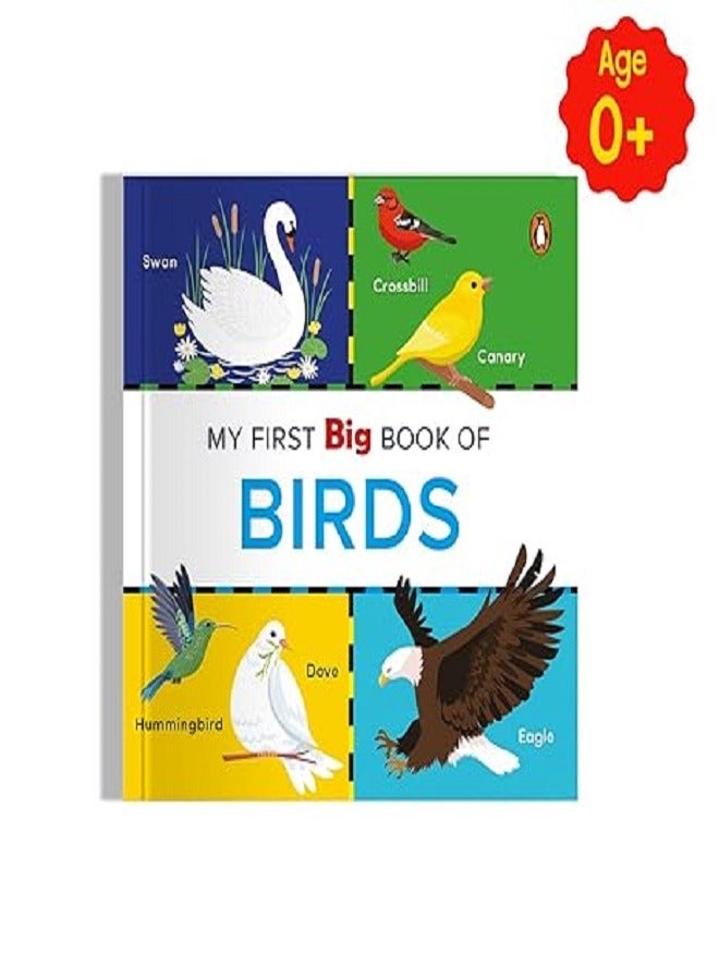My First Big Book Of Birds  - Image 2