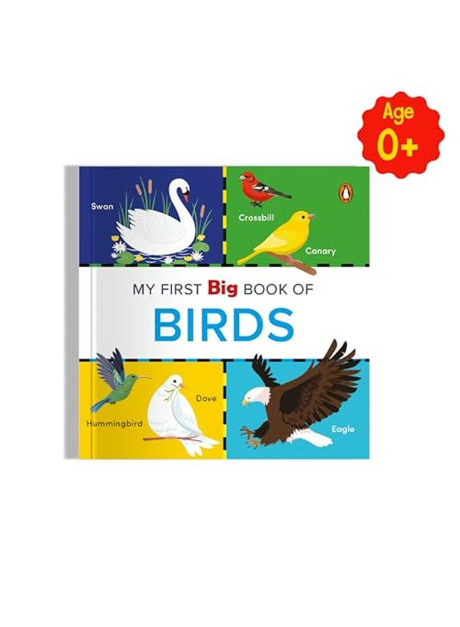 My First Big Book Of Birds  - Image 1