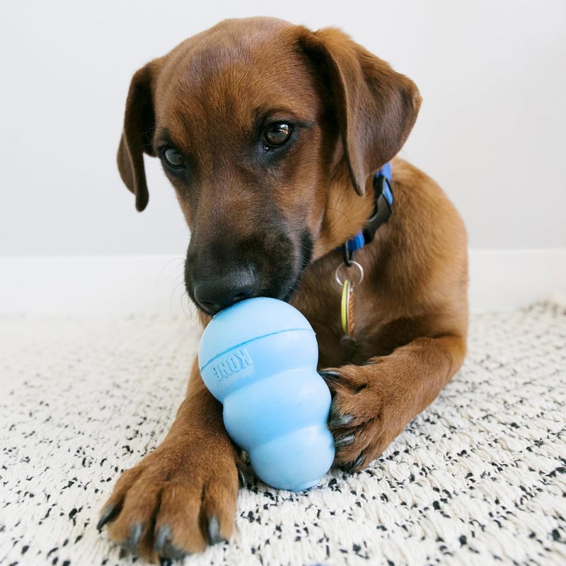 Kong Snacks Puppy Treats - Small Size, Salmon and Blueberry Flavor - Image 4