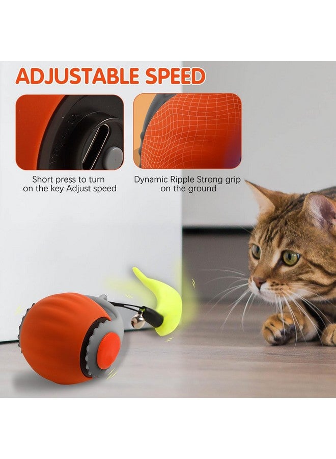 عبوتان من كرات ألعاب القطط التفاعلية، ألعاب إثراء القطط للقطط الداخلية للقطط البالغة التي تشعر بالملل، تعمل بالحركة - Image 2