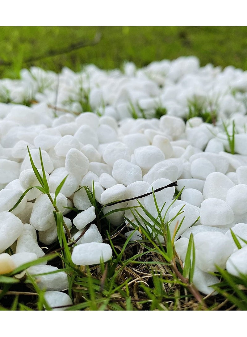 Decorative Aggregate Stones for Countertops, Flooring, Outdoor Garden  - Image 4