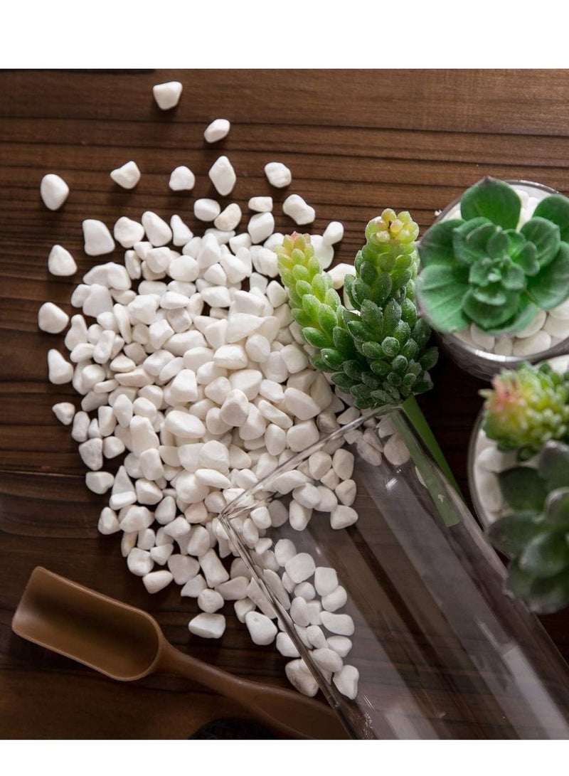 Decorative Aggregate Stones for Countertops, Flooring, Outdoor Garden  - Image 1