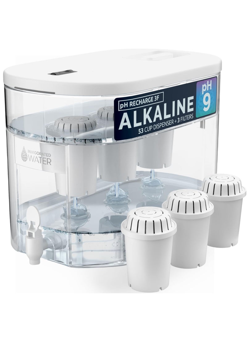 Invigorated Water Invigorated Water  Alkaline Countertop Water Filter Dispenser Large 52Cup Capacity Mineralized Alkaline Water BPAFree 96 GallonsFilter White 3 Filters Included 