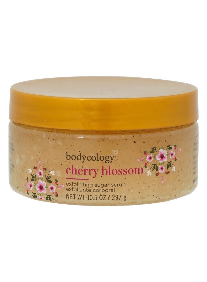 Bodycology Cherry Blossom Exfoliating Sugar Scrub | Sugar Crystal, Glycerin, Jojoba Seed Oil | Exfoliates, Removes Tan & Dead Skin, Reduces Pigmentation | For Men & Women - 297 G (Pack Of 1) - Image 1