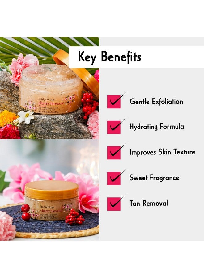 Bodycology Cherry Blossom Exfoliating Sugar Scrub | Sugar Crystal, Glycerin, Jojoba Seed Oil | Exfoliates, Removes Tan & Dead Skin, Reduces Pigmentation | For Men & Women - 297 G (Pack Of 1) - Image 4
