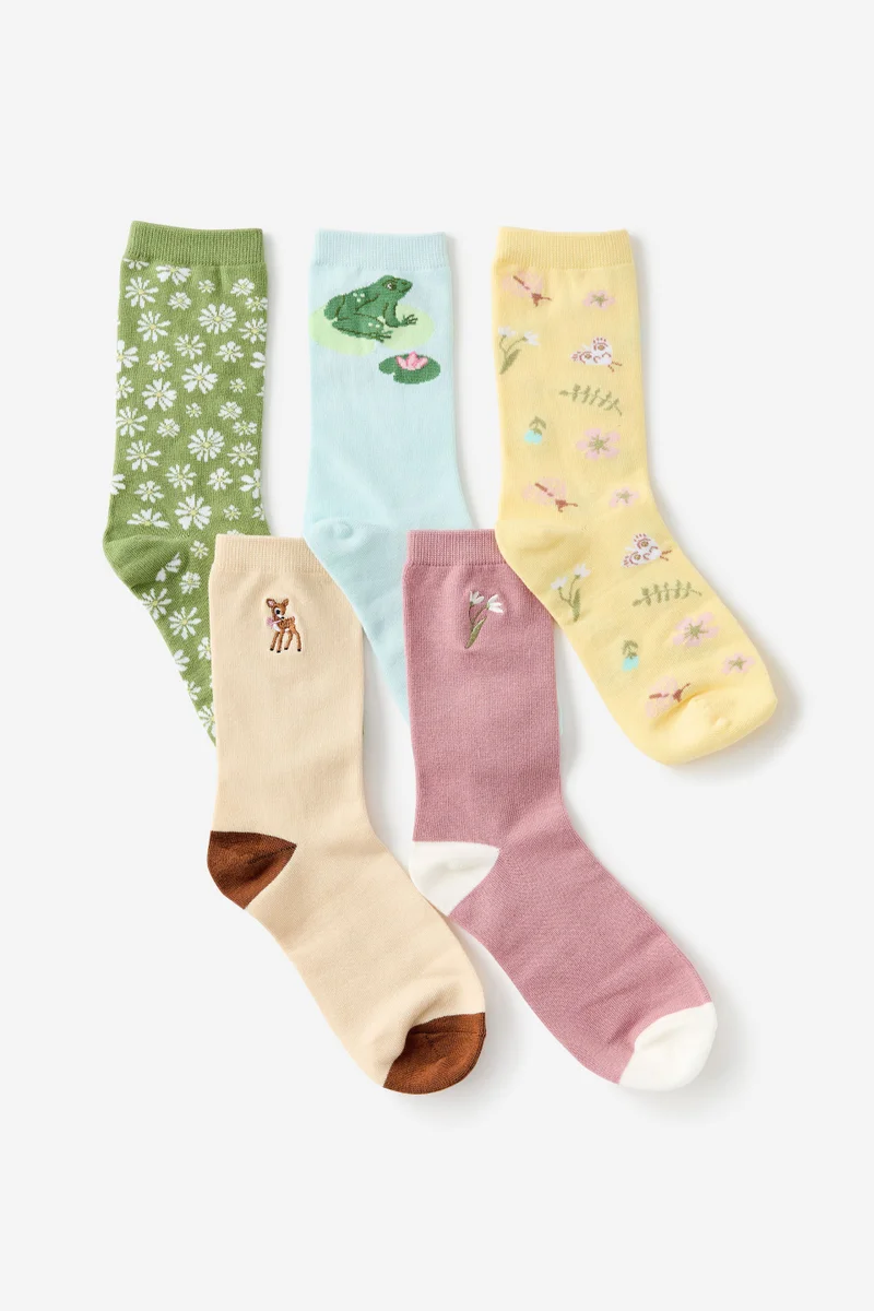 تايبو Box Of Socks