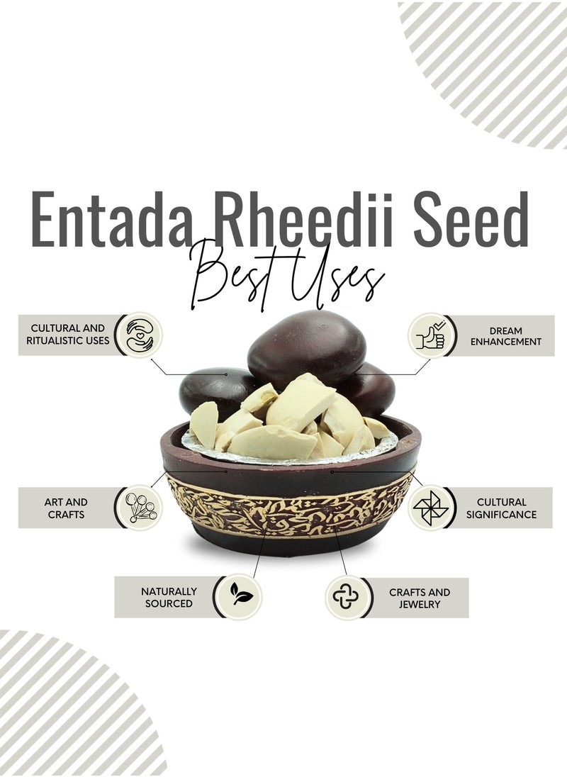 Awafi Mill AWAFI MILL De-Shelled Entada Rheedii Seed Pulp | Premium Natural Seed Extract for Culinary and Multipurpose Use  - Image 3