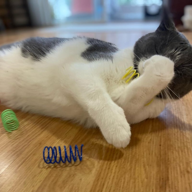 spot Ethical Wide Colorful Springs Cat Toy for Active Play - Image 3