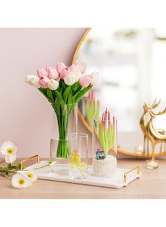 ماركة غير محددة مجموعة من 3 قطع مزهرية أسطوانية للزينة شفاف (S+M+L)  - Image 4