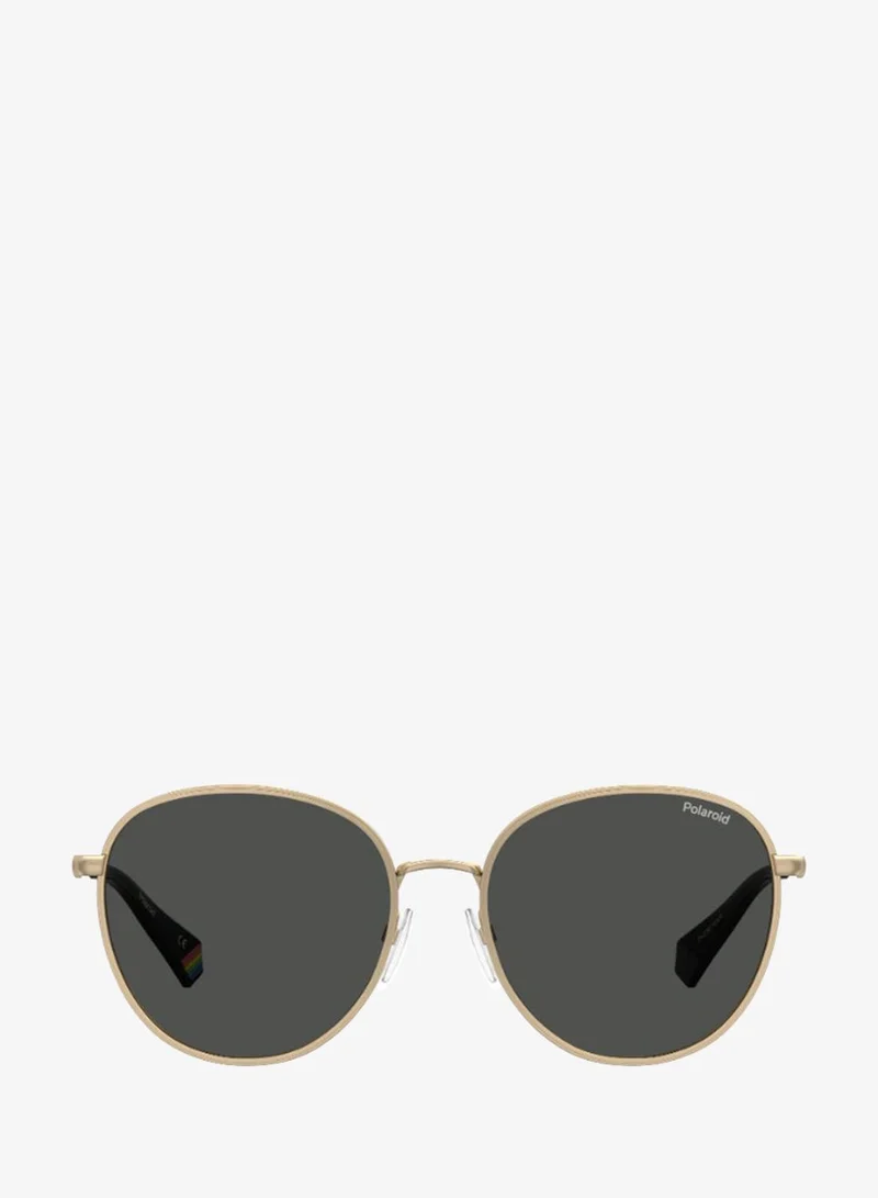 Polaroid  Panthos Polaroid Sunglasses  | Best Price UAE