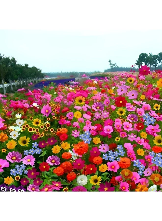 43℃ 1000 قطعة من بذور الزهور البرية المختلطة لزراعة بذور الزهور للزراعة - بذور ممتازة للمبتدئين أفضل البذور للزراعة في الحديقة والعشب الداخلي والخارجي - Image 1