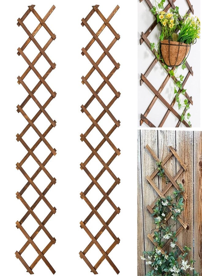 Avalution Extensible Natural Garden Wooden Fence Lattice Frame Plant Support Frame Natural Wooden Lattice Frame for Cucumber Climbing Plant Vines Ivy Rose 75"x11.8" Lattice Fence Panel(2Pack) - Image 1