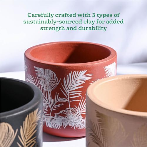 UGAOO Sienna Terracotta Indoor Pot for Plant - Aesthetic, Durable, Premium Planter for Home Décor (Set of 3) - Image 3