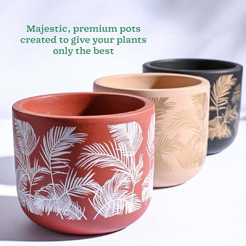 UGAOO Sienna Terracotta Indoor Pot for Plant - Aesthetic, Durable, Premium Planter for Home Décor (Set of 3) - Image 2