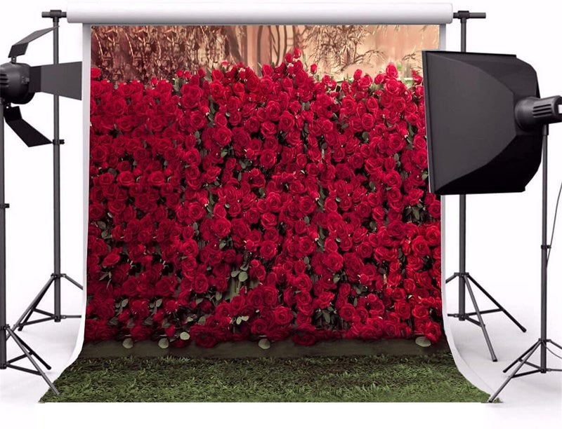 AOFOTO 8x8ft Portrait Backdrops Photography Wedding Background Manor Romance Red Rose Flowers Wall Blurry Grassland Lovers Anniversary Decor Kid Girl Ladies Portrait Photo Shoot Studio Props Vinyl - Image 3