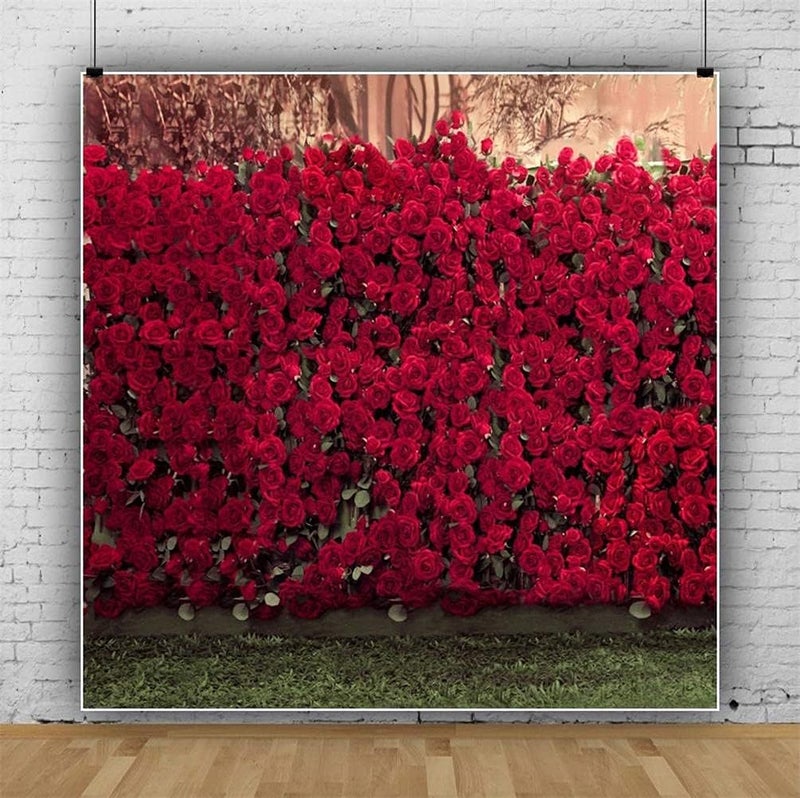 AOFOTO 8x8ft Portrait Backdrops Photography Wedding Background Manor Romance Red Rose Flowers Wall Blurry Grassland Lovers Anniversary Decor Kid Girl Ladies Portrait Photo Shoot Studio Props Vinyl - Image 4