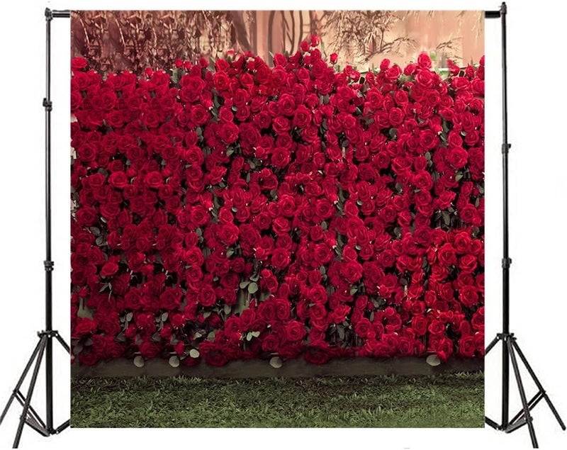 AOFOTO 8x8ft Portrait Backdrops Photography Wedding Background Manor Romance Red Rose Flowers Wall Blurry Grassland Lovers Anniversary Decor Kid Girl Ladies Portrait Photo Shoot Studio Props Vinyl - Image 1