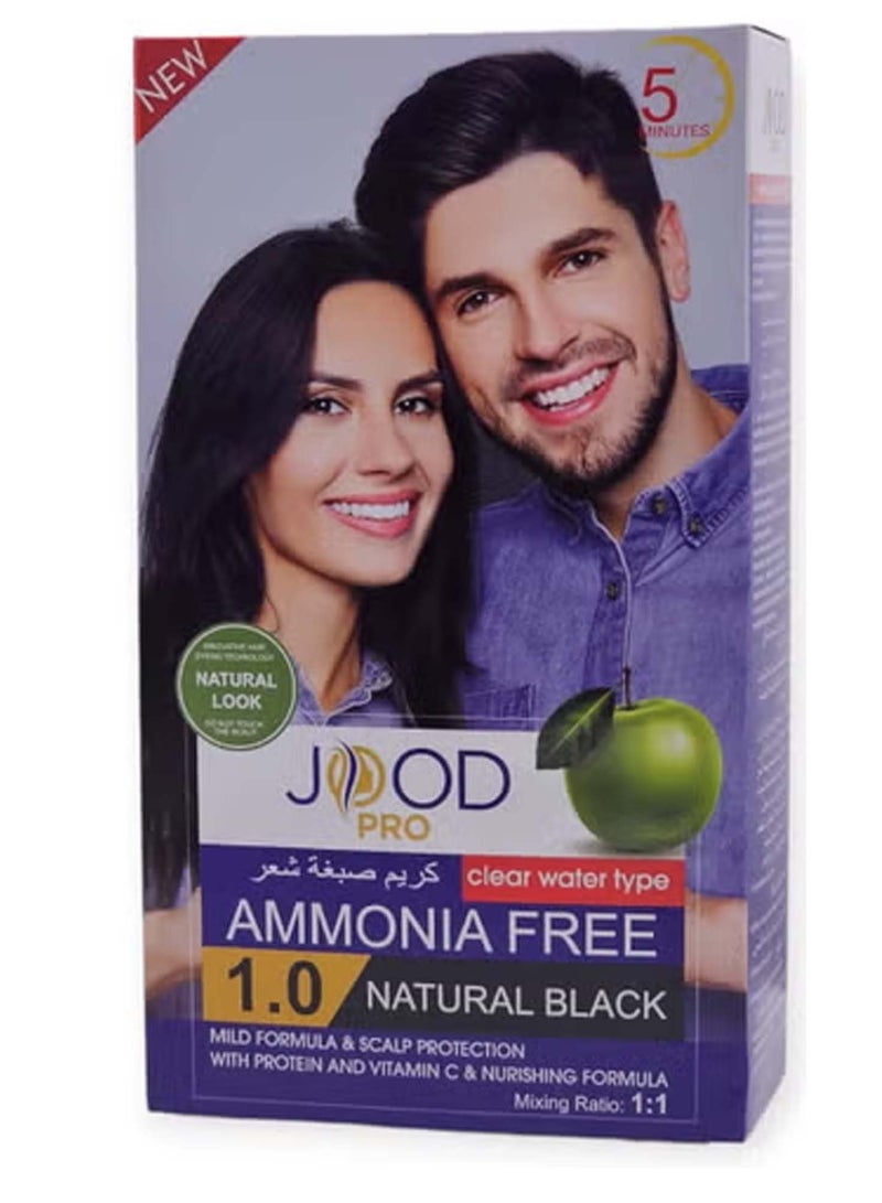Clear Water Type Hair Dye Cream Ammonia Free Natural Black 1.0