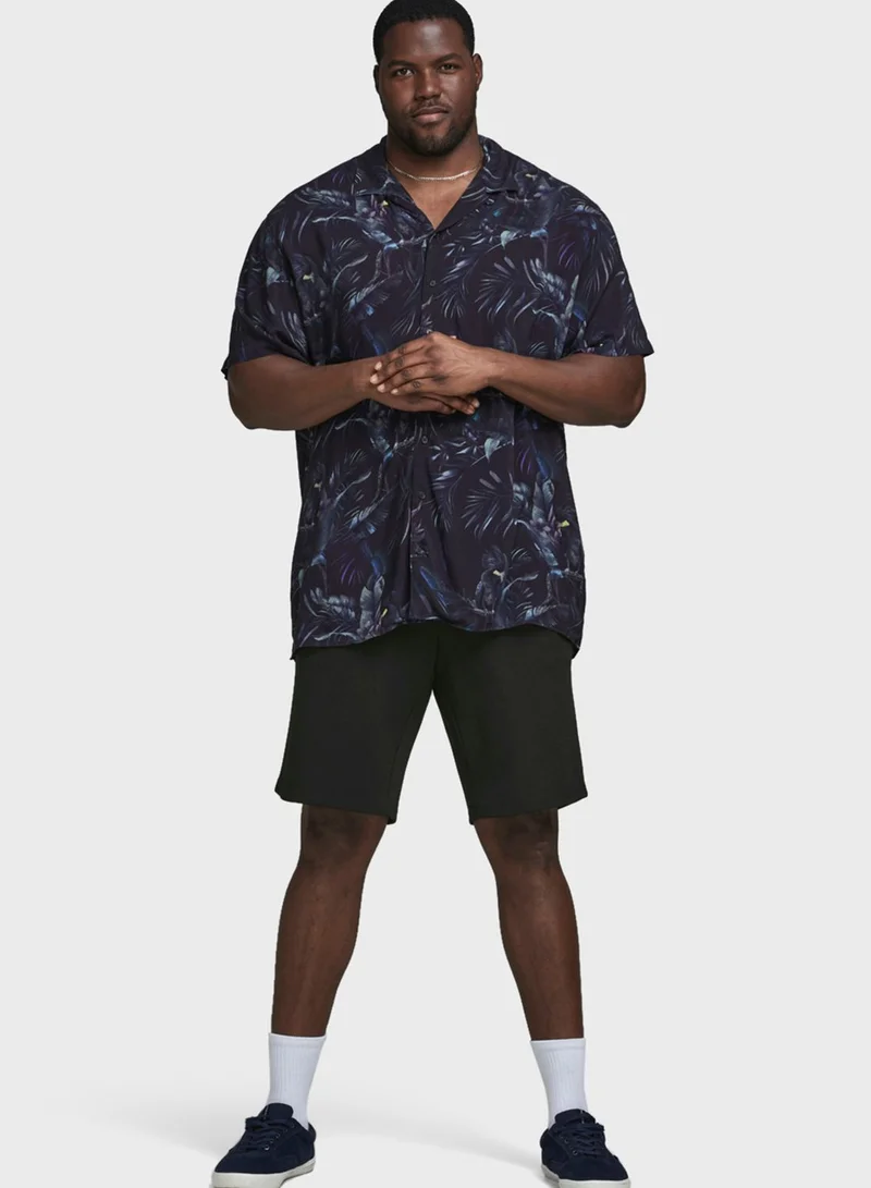 JACK & JONES Phil Chino Shorts