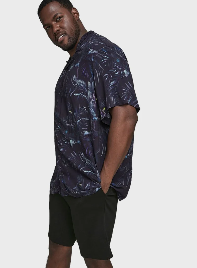 JACK & JONES Phil Chino Shorts