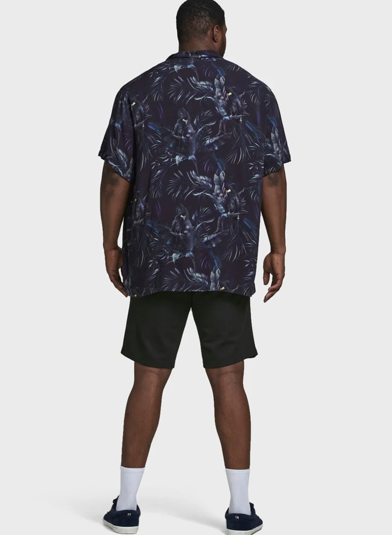 JACK & JONES Phil Chino Shorts