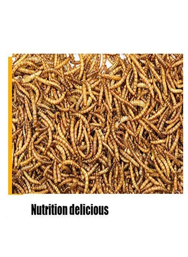 Western Era Healthy Natural Treat Dried Mealworm for Fishes (Oscar, Arowana, Parrot Fish, and Other Fishes) (50 Grms) - Image 3