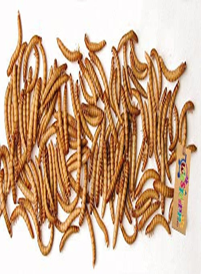 Western Era Healthy Natural Treat Dried Mealworm for Fishes (Oscar, Arowana, Parrot Fish, and Other Fishes) (50 Grms) - Image 2